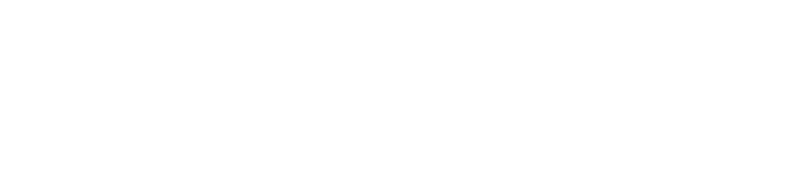 Smartwhips